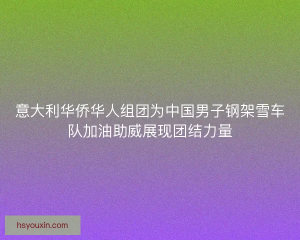 意大利华侨华人组团为中国男子钢架雪车队加油助威展现团结力量