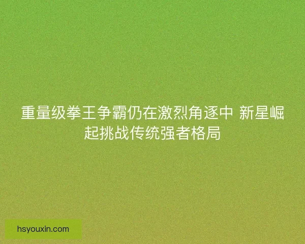 重量级拳王争霸仍在激烈角逐中 新星崛起挑战传统强者格局